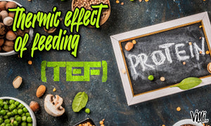 Thermic Effect Of Feeding (TEF)