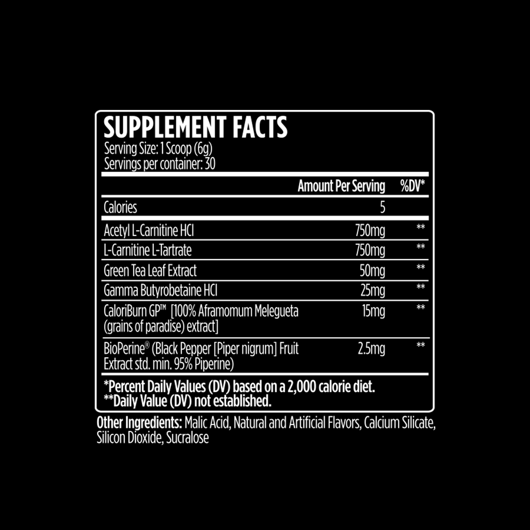 VMI Sports Diet & Energy L-Carnitine 1500 HEAT POWDER