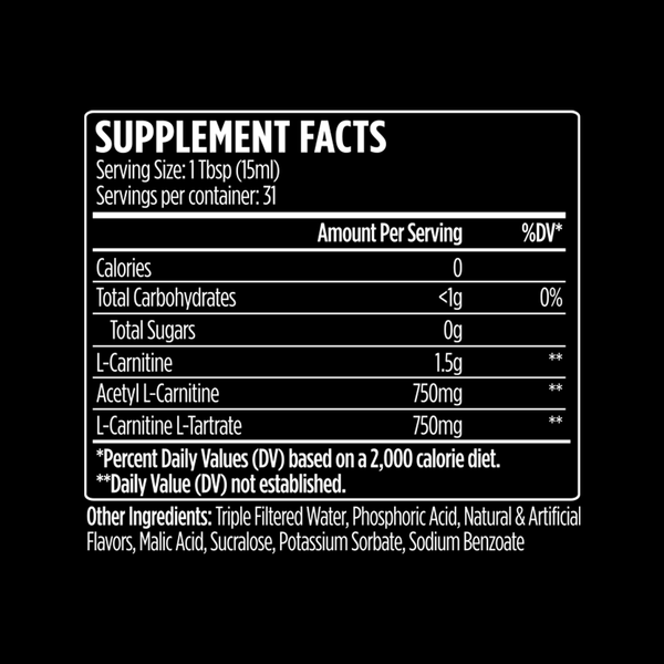 VMI Sports Diet & Energy L-Carnitine 3000